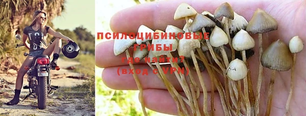 эйфоретик Магадан