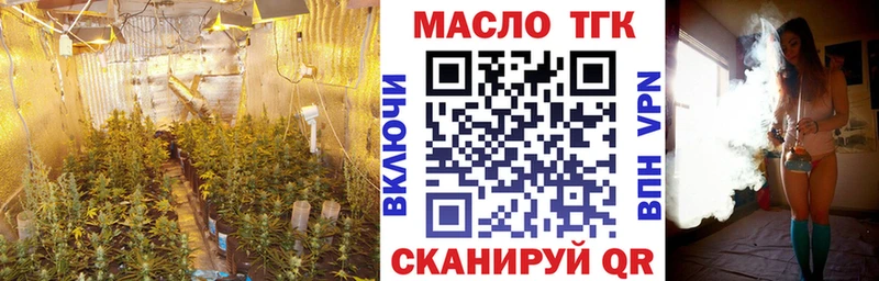 магазин продажи наркотиков  мега ТОР  Дистиллят ТГК концентрат  Жиздра 