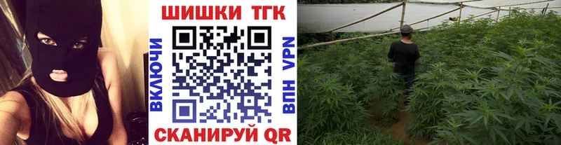 Бошки Шишки марихуана  цены   Жиздра 